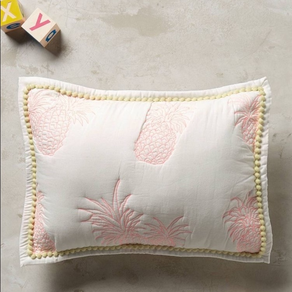 ISO Anthropologie Pineapple Kids Pillows
